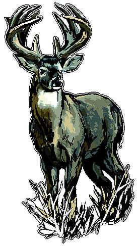 LVE Large Camo Decal - Deer