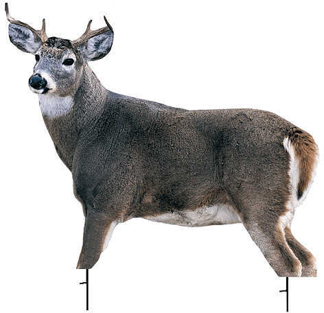 Montana Whitetail Buck Decoy 37"X48"