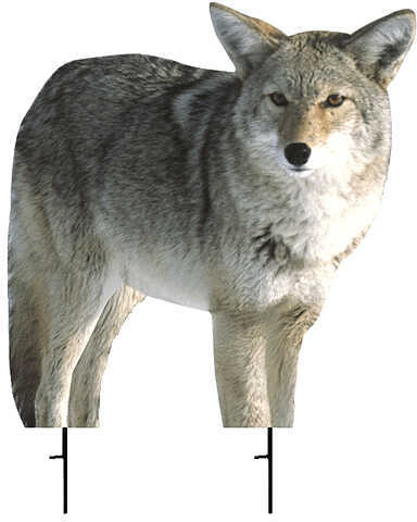 Montana Decoy Kojo Coyote Predator 21" x 22" Model: 0000