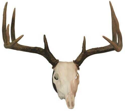 Hunter Specialties Mount Kit Full Skull Deer Walnut Model: 01638