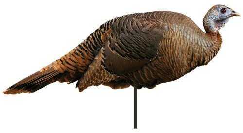 Montana Decoy 0042 Spring Fling Hen Turkey