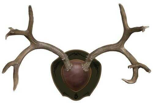 Mountain MIKES Deer Antler Rack Plaque W/Shed Spr-img-0