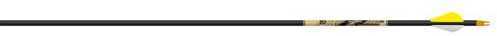 Beman ICS Precision Hunter Arrows 300 XPV Vanes 6 pk. Model: 426381