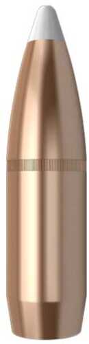 Nosler Bullets 375 Caliber .375 300 Grains Accubond 50CT