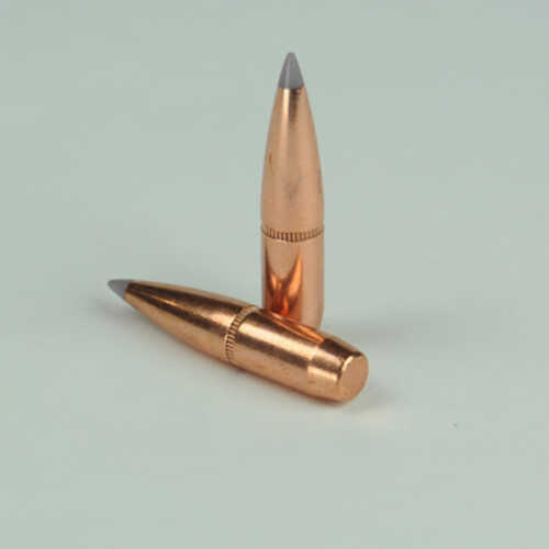 OEM Blem Bullets 6.5mm .264 Diameter 129 Grain Poly Tipped Boat Tail  W/Cannelure 100 Count (Blemished)