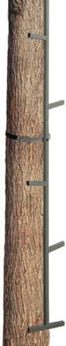 Big Dog Tree Stand Climbing Se Sections 3-Pack