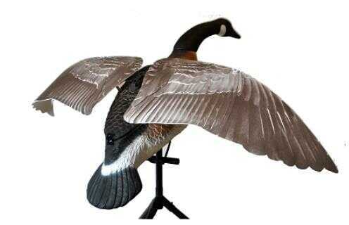 Lucky Duck Goose Flapper Canada Model: 21-10014-1