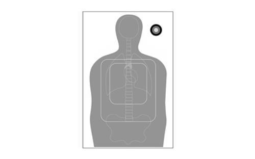 Action Target F-TQ15ANT-A Qualification With Vital Anatomy Combines And The TQ-15 Scoring Pattern G