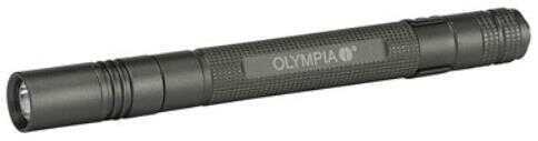 Olympia Flashlight, 160 Lumen, Batteries, Gray Wand
