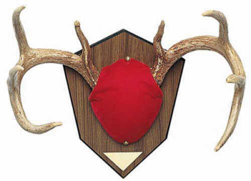 Antler Mounting Kit Red Velvet Skull Piece - Brass Name Plate - Wood Grain Base