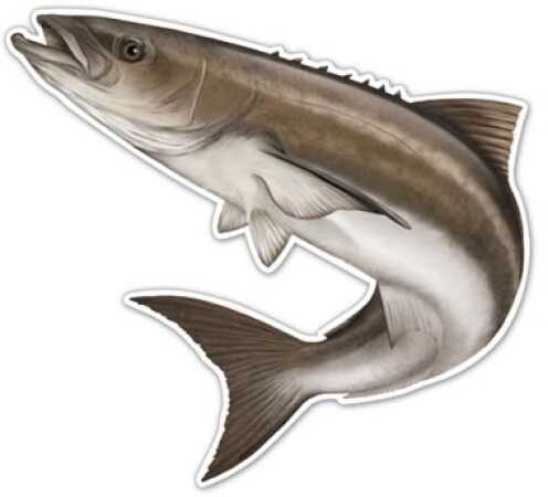Salty Bones Action Fish Decal 5-1/2In X 7In Cobia Md#: Ed2502Sb