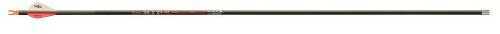 Victory Rip Sport Arrows .003 350 Fletched 12 Pack