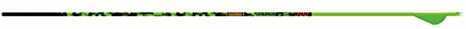 Gold Tip Team Primos - Green 500 2" Raptor Vanes 1/2Dz