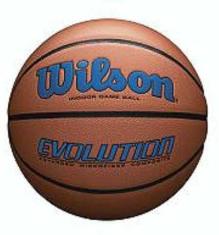 Wilson Evolution Official Size Game Basketball-Royal