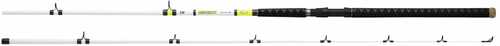 BEEF KITTY CATFISH ROD CASTING 10ft MH 2pc Model: BFK1002MHRB