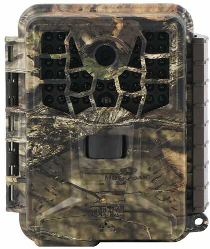 Covert Scouting Cameras NBF32 Trail