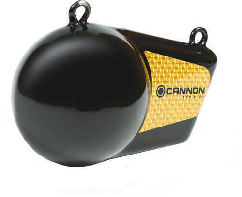 Cannon 10 Pound Flash Weight