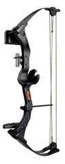 Bear Brave III Bow Set Black AYS200Br