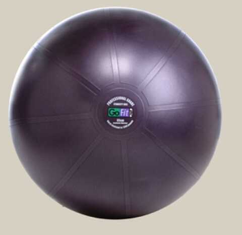 Gofit 1200Lb Professional Ball GF-55Pro