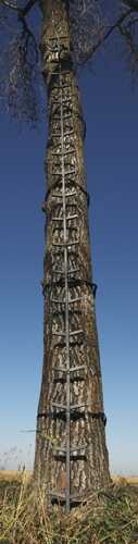 Big Game Quick Stick Xl 20ft Ladder Cr0123