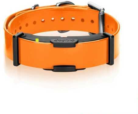 Dogtra Arc Additional Receiver Collar Orange
