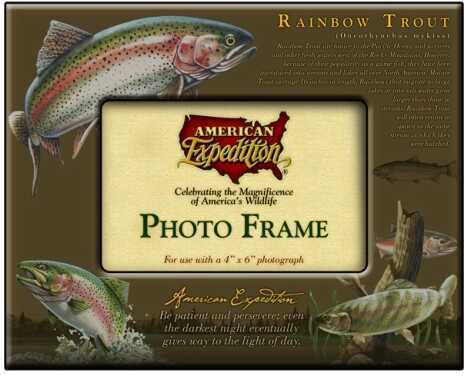 American Expedition Photo Frame - Rainbow Trout