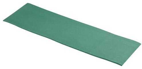 Wenzel Convoluted Camp Pad Green
