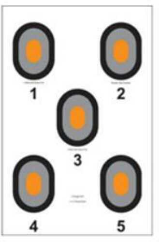 Action Target Inc 530-OC-100 Bulls Eye Orange Center Paper 23" X 35" Bullseye Black/Gray/Orange 100