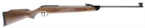 RWS Model 350 Magnum Air Gun .22 Long Range Rifle