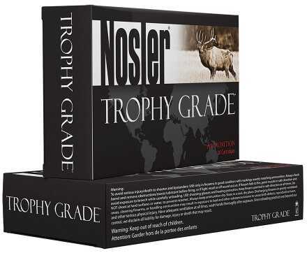 NOSLER TGA 30-06 180G ABSP 20BX