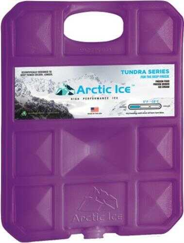 Arctic Ice Tundra Series Large 2.5Lb REUSABLE Freezer Temp
