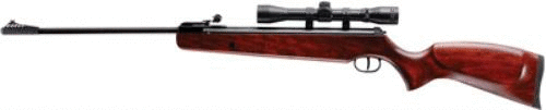 RWS Ruger® Air Hawk Rifle .177 W/4X32MM Scope