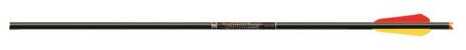 EASTON XBOW Bolt Bloodline 20" 3" VANES With Half Moon NOCK 6 Pack
