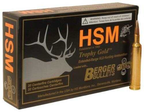 338 Rem Ultra Mag 250 Grain Hollow Point 20 Rounds HSM Ammunition Remington Magnum