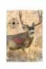 Birchwood Casey Bc-35402 Pregame Mule Deer Paper Target 16.50" X 24" 3 Per Pkg