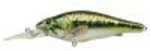 Simply Add Water And The LIVETARGET Largemouth Bass Comes To Life. Avid anglers Will Appreciate The Fine detail And Skilled Craftsmanship In This Ultra Life-Like Model. The advanced Weight Transfer Sy...