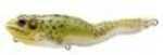 Weightlessly gliding Left And Right Across The Surface, The LIVETARGET Frog Series Has All The attributes To Attract Big Fish. Anatomical Accuracy, Detailed Color And Effortless Action Make This a Fir...