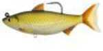 From shallow pencil reeds and eelgrass to deeper hydrilla lines, the Golden Shiner Swimbaits are designed for the shallow water fisheries, where giant Bass often chase this elusive baitfish. With two ...