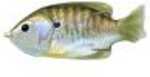 LiveTarget Lures Sunfish Hollow Body Freshwater, 4" Length, 3/4 oz, Topwater Depth, Natural Olive Bluegill, Per 1 Md: SF