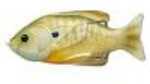 LiveTarget Lures Sunfish Hollow Body Freshwater, 4" Length, 3/4 oz, Topwater Depth, Natural Green Bluegill, Per 1 Md: SF