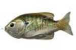 LiveTarget Lures Sunfish Hollow Body Freshwater, 4" Length, 3/4 oz, Topwater Depth, Olive/Metallic Bluegill, Per 1 Md: S