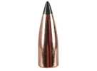 Manufacturer: Nosler Model: 17250