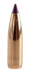Nosler 6MM/.243 70 Grains Ballistic Tip Varmint 100/Box Bullets