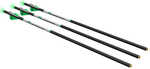 Ravin Crossbows C1013 Crossbow Arrows 400 Grain 20" 3 Pack
