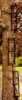 Packable Ladder System That Can Be installed On uneven Or slanted trees, Steel Construction, features: (3) 31" L X 9" W sectiOns (Total Wt. 12Lbs.), Wt. Rating Of 300Lbs., And (3) 1" Cam-Buckle straps...