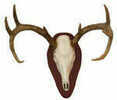 HSP Euro Half Deer Skull Mount Kit