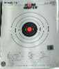 Champion Traps And Targets Scorekeeper Paper - Fluorescent Orange Bull 50 ft. Pistol Slowfire 11" X 16" 12