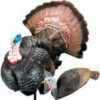The Pretty Boy And Pretty Girl Turkey Decoys Are Elite Turkey Hunting Equipment. These Wild Turkey Decoys Are The leading Choice To Enhance Your Turkey Hunting Season. Designed And Tested By Legendary...