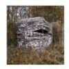 Primos Double Bull Surroundview 360 Degree Hunting Ground Blind