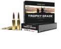 Manufactured To Nosler's Strict Quality standards, Trophy Grade Ammunition uses Nosler Custom Brass And Nosler Bullets To Attain Optimum Performance, No Matter Where Your Hunting Trip Takes You. Wheth...